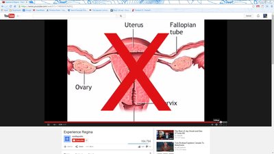 Clipboard02.jpg (144.45 KiB) Viewed 67101 times Yep, it's there...