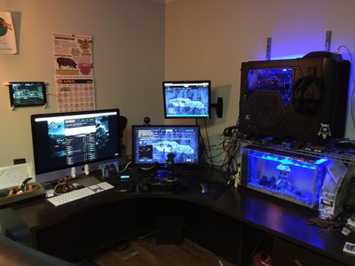 IMG_3144.JPG (1.92 MiB) Viewed 217546 times My little rig