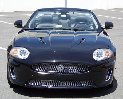 2013-04-21 12.25.04.jpg (143.65 KiB) Viewed 49251 times Roar!